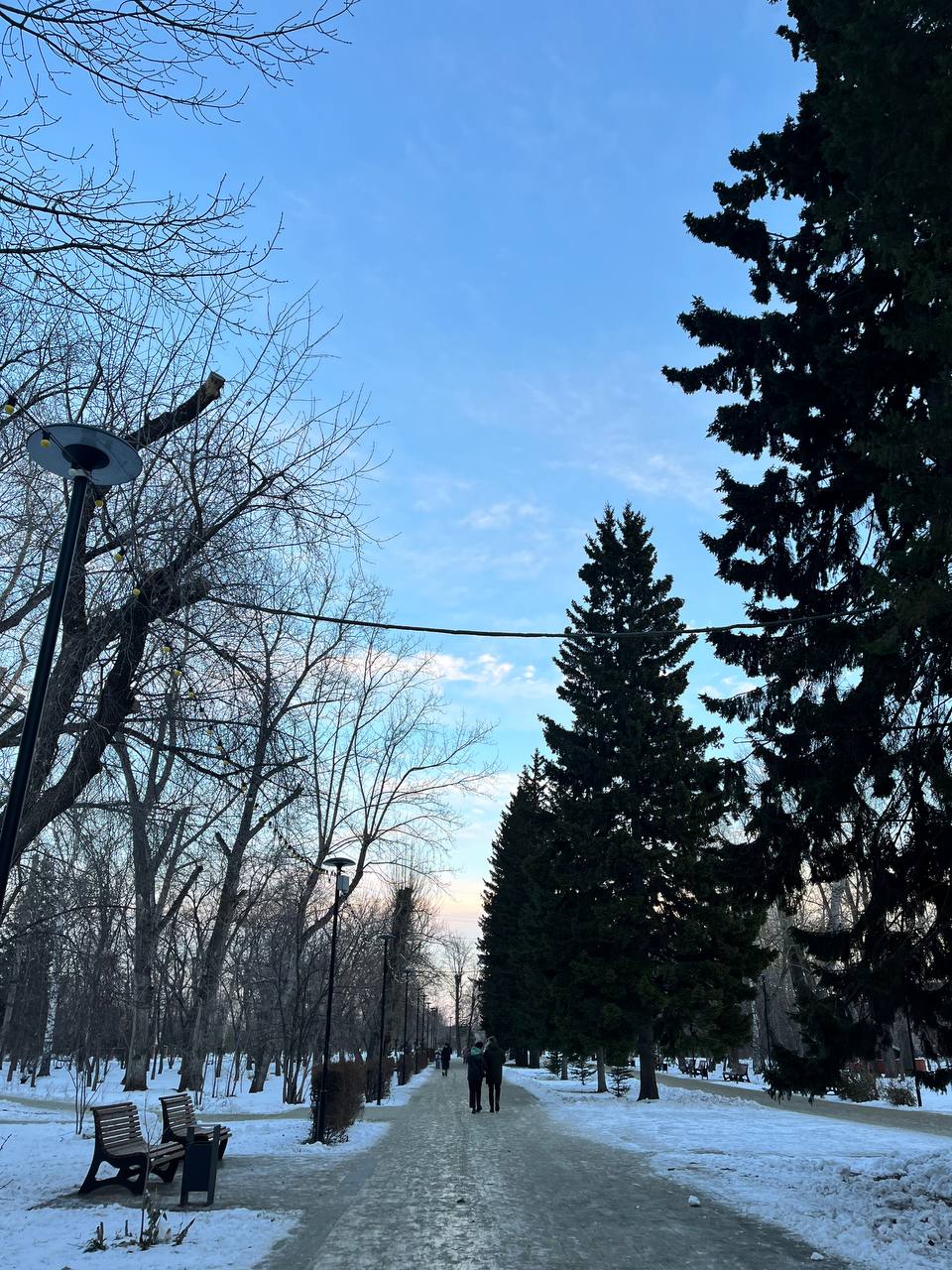 Четверг в Алтайском крае обещает быть нетипично тёплым! Четверг в Алтайском крае обещает быть нетипично тёплым!