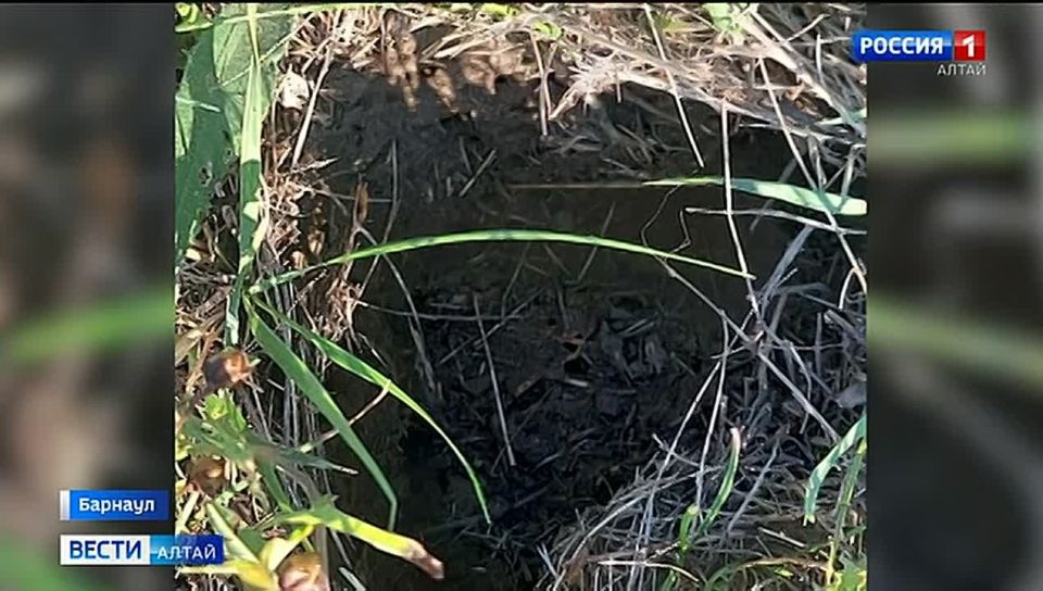 Житель Рубцовска выставил на продажу метеорит за 5 млн рублей