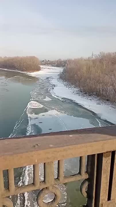 Бийчане обеспокоены безрассудным поведением школьников