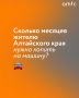 Эксперты выяснили, сколько нужно копить на новый автомобиль жителям Алтайского края
