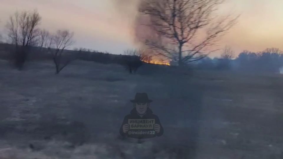 Горят поля около Поспелихи