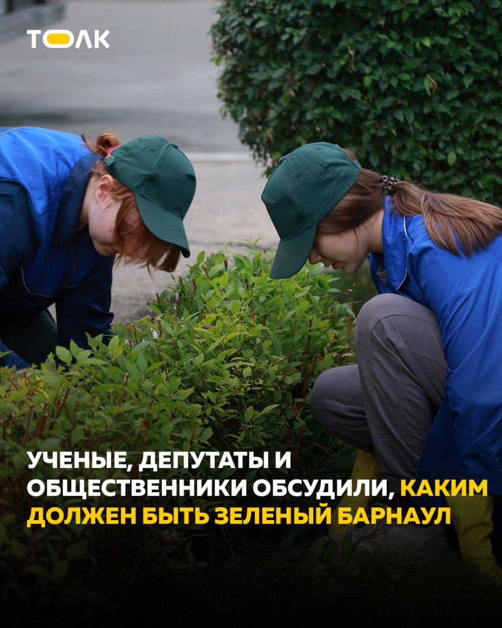 В Барнауле прошёл расширенный круглый стол по развитию зелёных зон города