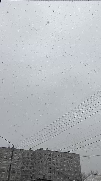 Барнаульцы, видели сегодня эти крупные снежинки?