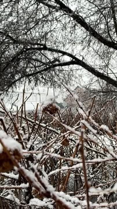 Видео для релаксации в конце рабочей недели