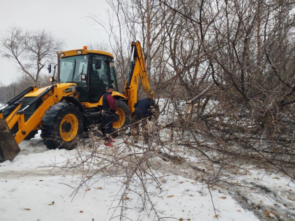 Снос аварийных деревьев начали в парке имени Ленина