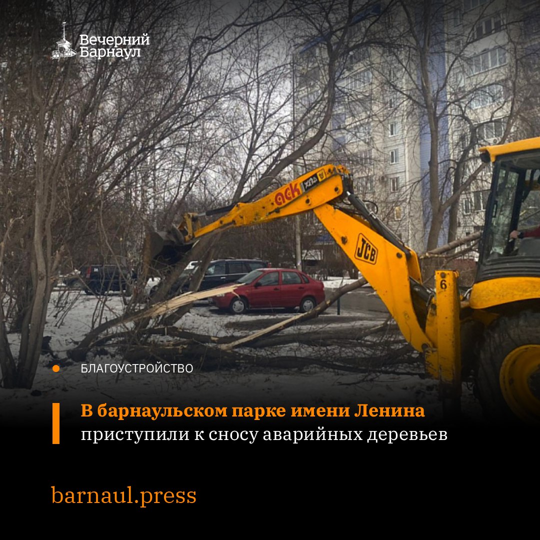 Больше 1200 деревьев, представляющих угрозу жизни жителям Барнаула, снесут на территории парка имени Ленина