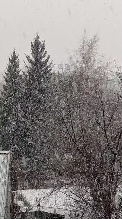 Зима неожиданно ворвалась в Барнаул!