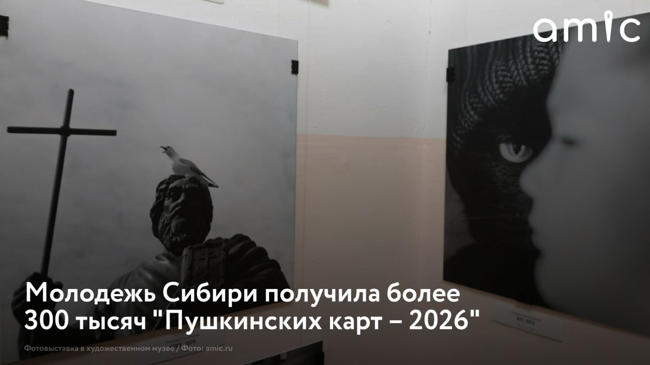 В ноябре 2025 года в Сибири выпустили более 311 тысяч "Пушкинских карт" для молодых россиян
