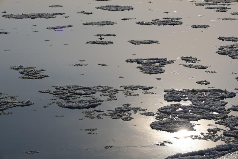 Обь в Барнауле не хочет засыпать: теплая осень удерживает реку от ледостава Обь в Барнауле не хочет засыпать: теплая осень удерживает реку от ледостава