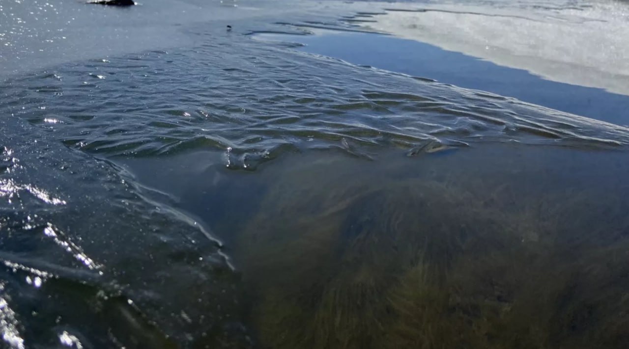 9-летний ребёнок провалился под лёд на реке в Смоленском районе