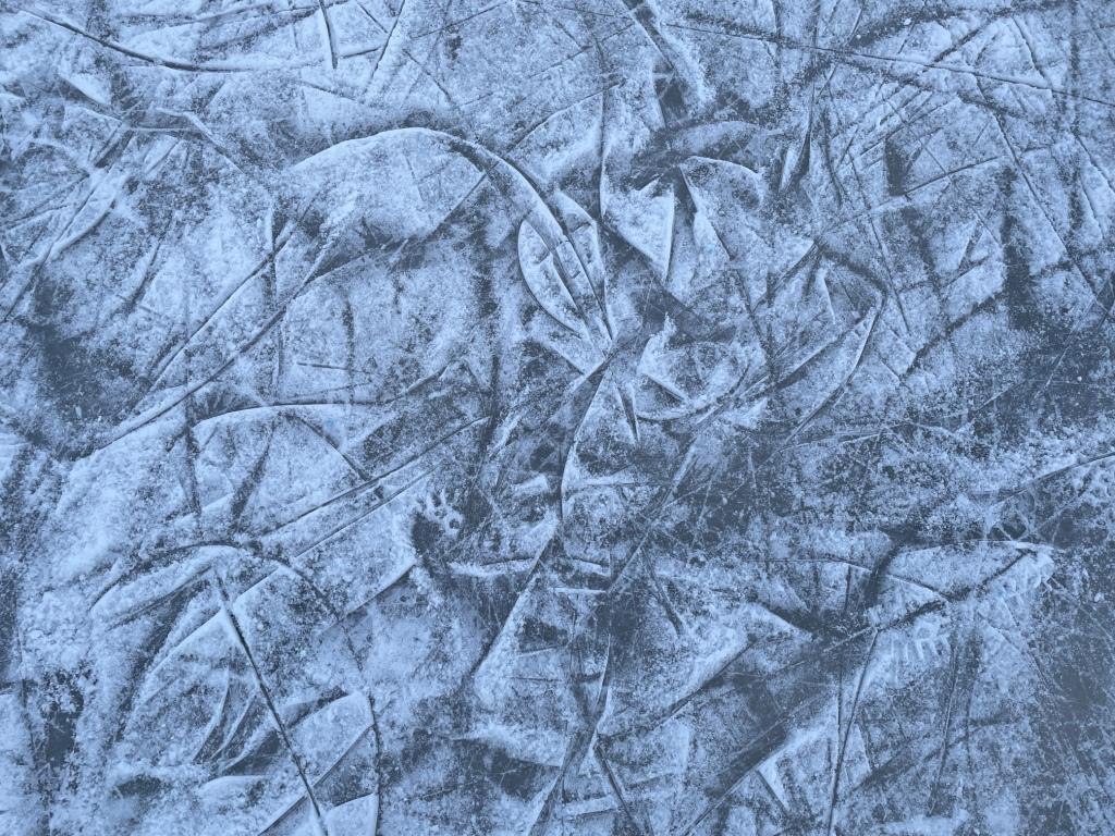 Прохожий спас провалившегося под лед ребенка в Смоленском районе