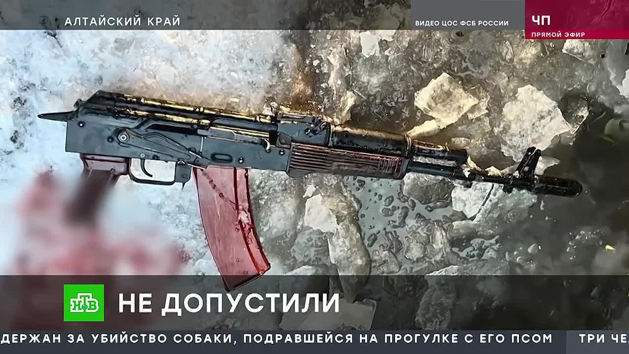 Сюжет на НТВ в программе "Чрезвычайное происшествие" о предотвращении сотрудниками ФСБ попытки диверсии на железной дороге и возбуждении следственным управлением СК России по Алтайскому краю уголовного дела о посягательстве...