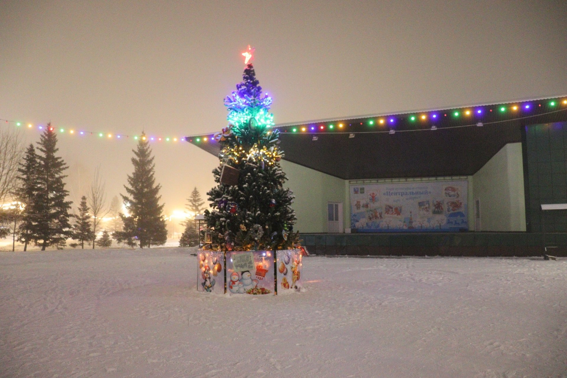 Стала известна дата открытия зимнего сезона в барнаульском парке «Центральный»