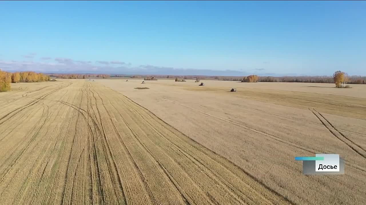 Алтайский край вновь подтвердил статус одной из главных житниц страны