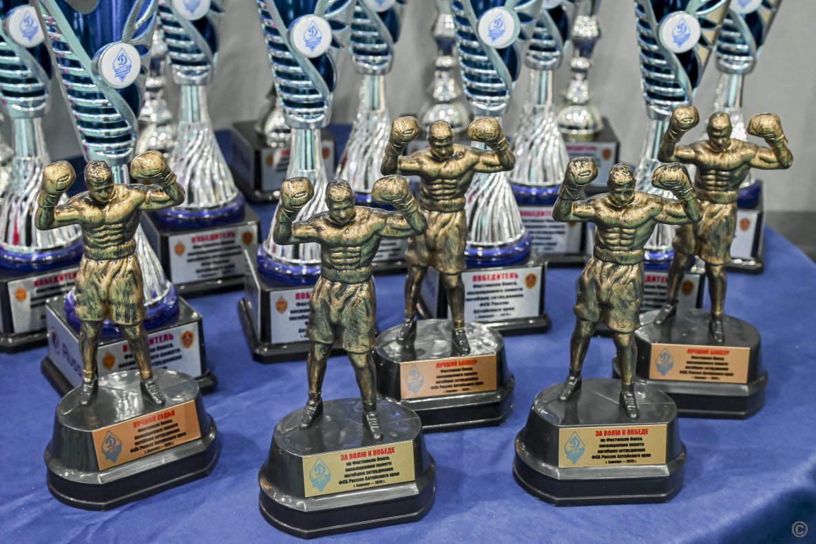 В Барнауле открылся фестиваль бокса памяти погибших сотрудников УФСБ и ПУ ФСБ России по Алтайскому краю В Барнауле открылся фестиваль бокса памяти погибших сотрудников УФСБ и ПУ ФСБ России по Алтайскому краю