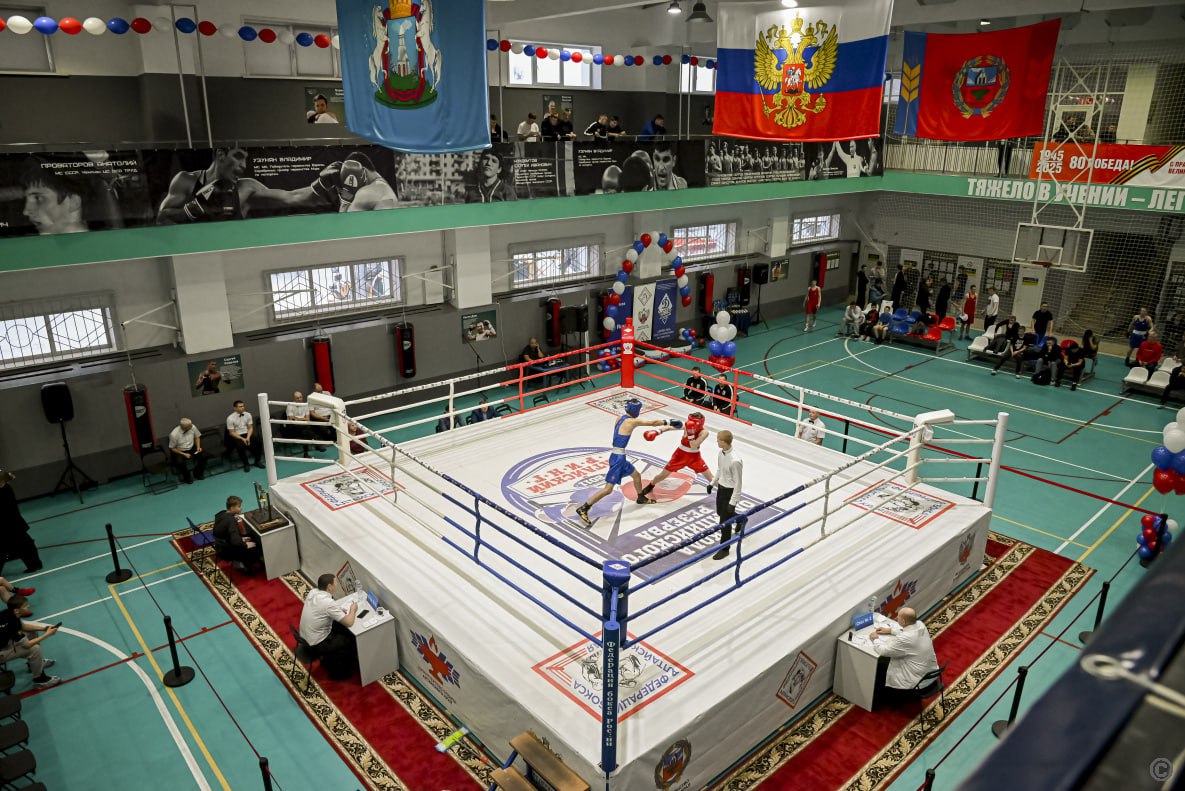 В Барнауле открылся фестиваль бокса памяти погибших сотрудников УФСБ и ПУ ФСБ России по Алтайскому краю