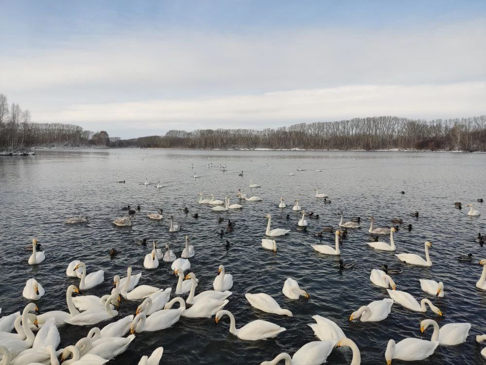 Участники образовательной программы «Алтай — земля Героев» посетили мемориальные и природные достопримечательности края Участники образовательной программы «Алтай — земля Героев» посетили мемориальные и природные достопримечательности края