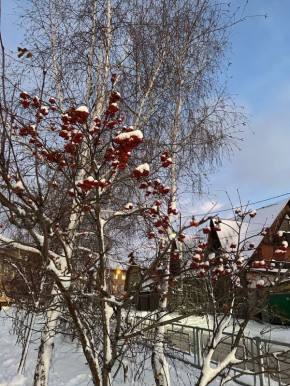 Зима в Алтайском крае. А вы уже успели сделать фото? Делитесь в комментариях!