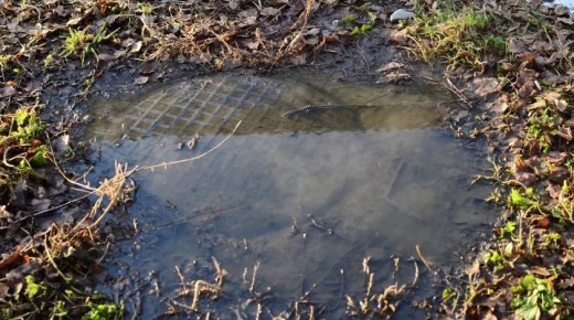 Бийчанам и гостям города напомнили, что нельзя сбрасывать в канализацию