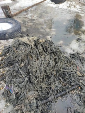    .        ()       ()        