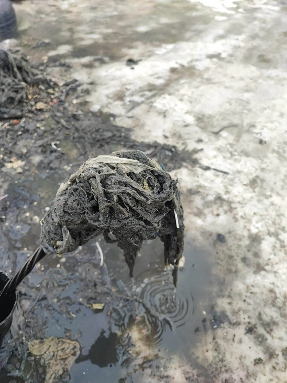 Пример мужества и долга. Уроженцы Алтайского края гвардии сержант Евгений Головнев (Поспелиха) и гвардии младший сержант Дмитрий Медведев (Рубцовск) проявили высочайший героизм в ходе специальной военной операции Пример мужества и долга. Уроженцы Алтайского края гвардии сержант Евгений Головнев (Поспелиха) и гвардии младший сержант Дмитрий Медведев (Рубцовск) проявили высочайший героизм в ходе специальной военной операции