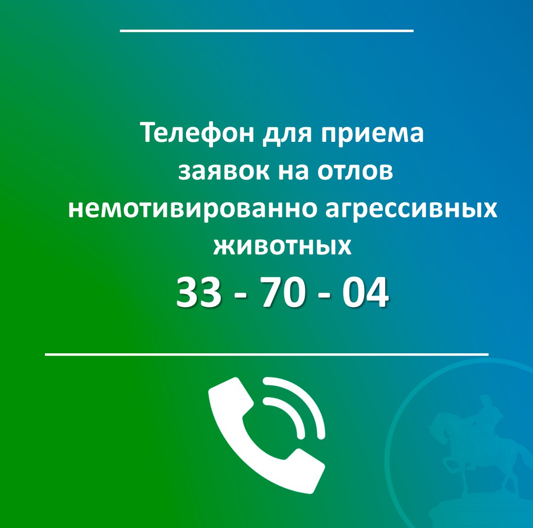 В Бийске начал работать пункт временного содержания животных без владельцев