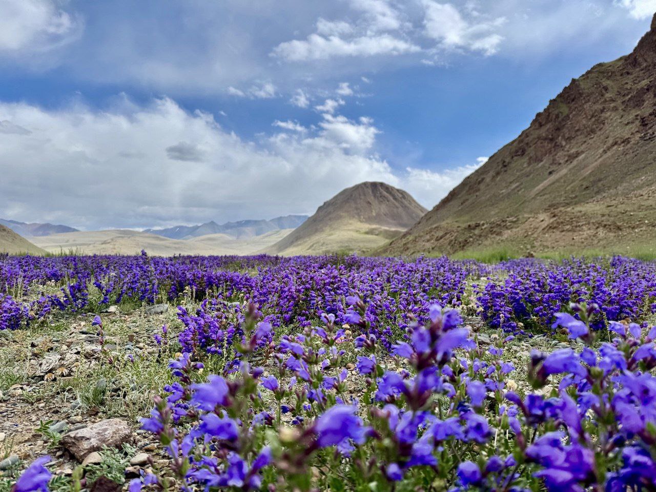 #* Подборка интересных новостей из регионов к этому часу #* Подборка интересных новостей из регионов к этому часу