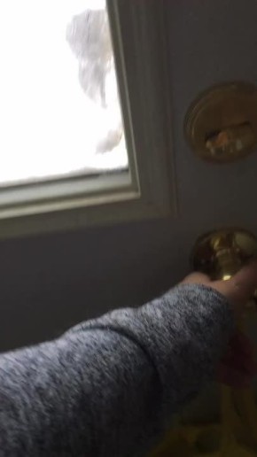 Отгадайте любимое время года этой собачки