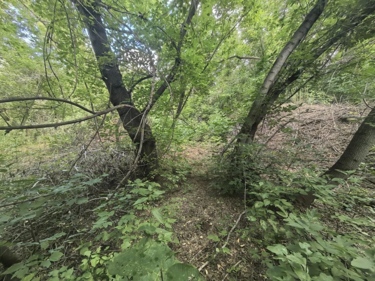 В Алтайском краевом суде вынесен приговор в отношении жительницы Рубцовского района за убийство ребенка