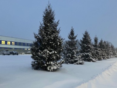 Доброе утро, Рубцовск!. Сегодня переменная облачность