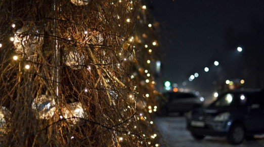 Жителей Алтайского края предупреждают о возможных провокациях перед Новым годом