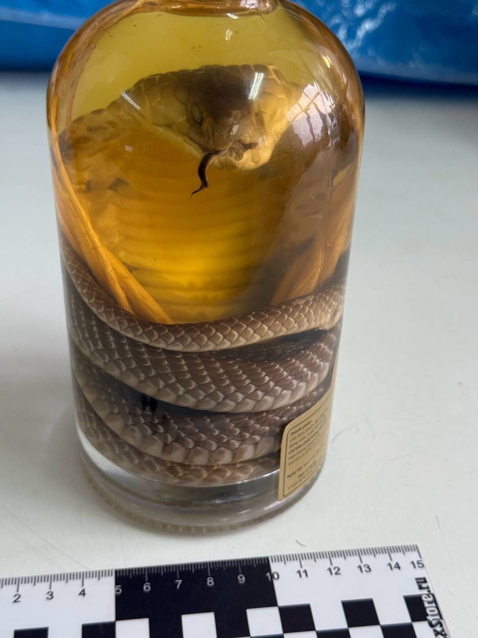 Змеиное вино обнаружили алтайские таможенники в багаже пассажирки из Вьетнама Змеиное вино обнаружили алтайские таможенники в багаже пассажирки из Вьетнама