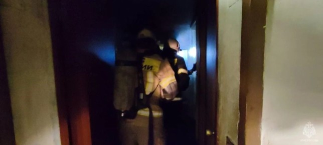 Два человека погибли при пожарах этой ночью в Алтайском крае