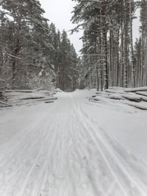 Начался сезон зимнего досуга