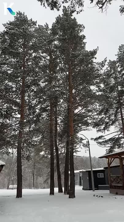 В Алтайской резиденции Деда Мороза уже царит новогоднее волшебство!