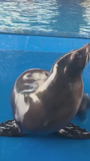 Доброе утро, Алтайский край!