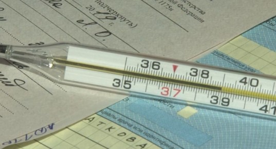 В Алтайском крае выросла заболеваемость гонконгским и свиным гриппом