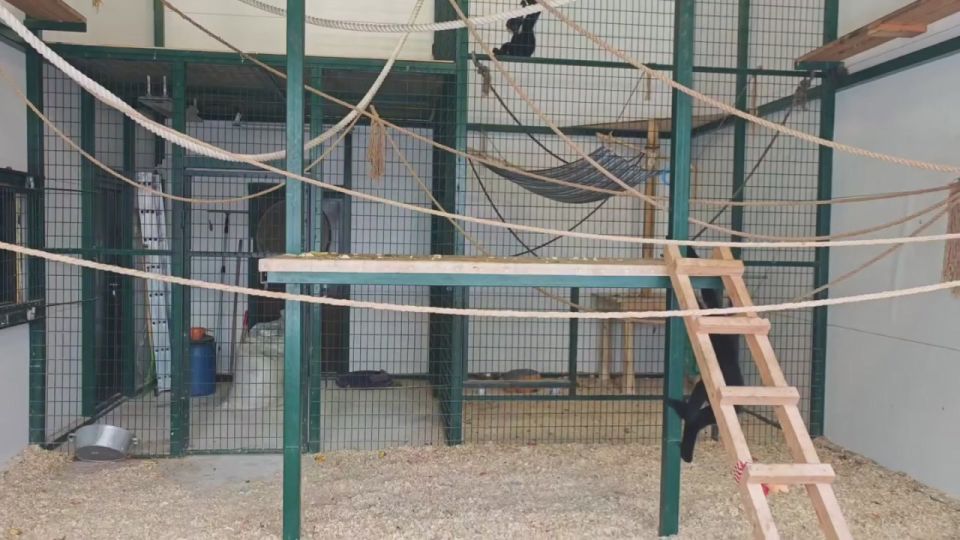 ������� ����� ������ ��������������� �������� ��������� ����� ���� � ����� ������