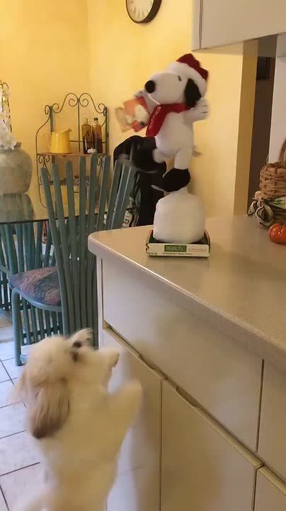 ������ ����, ��������� ����!�