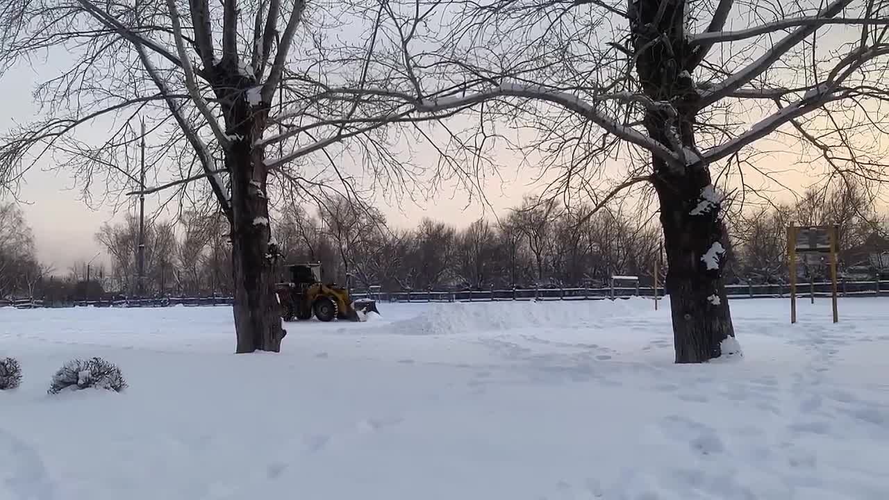 Ещё один открытый бесплатный каток появится в этом году в Бийске
