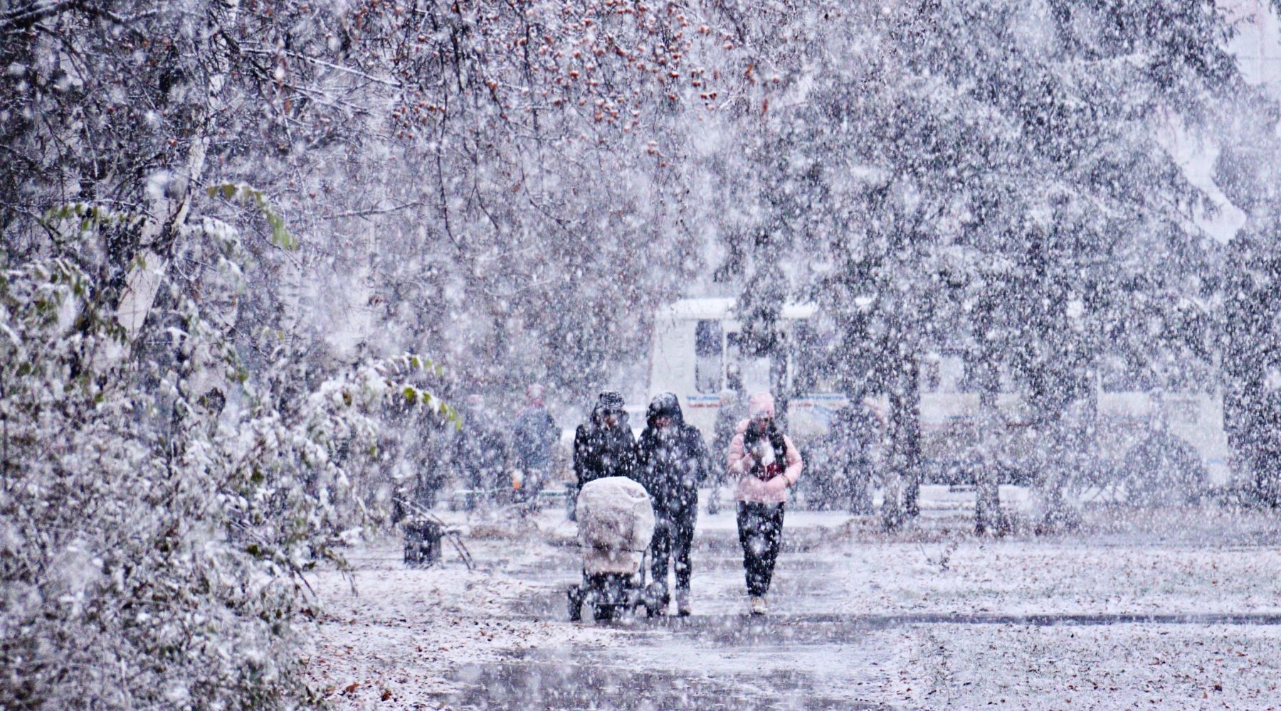 В Бийске 14 декабря будет пасмурно, ожидается снег, возможен туман