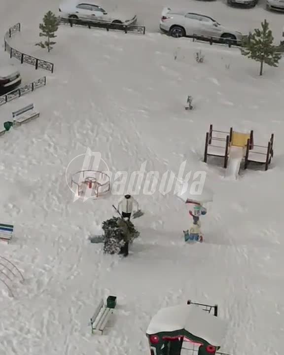 В Барнауле парочка захотела стащить дворовую елку, но не рассчитала силы — вечнозеленую оставили ночевать в подъезде