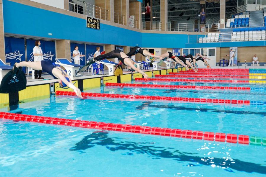 14 медалей завоевали пловцы из Бийска на Всероссийских соревнованиях «Снежные ласты» в Томске 14 медалей завоевали пловцы из Бийска на Всероссийских соревнованиях «Снежные ласты» в Томске