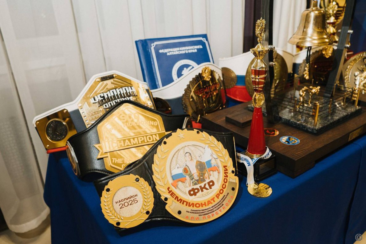 В Барнауле Федерация кикбоксинга Алтайского края утвердила новый стратегический курс развития В Барнауле Федерация кикбоксинга Алтайского края утвердила новый стратегический курс развития