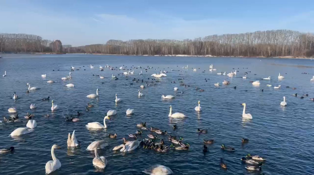 Правительство Алтайского края