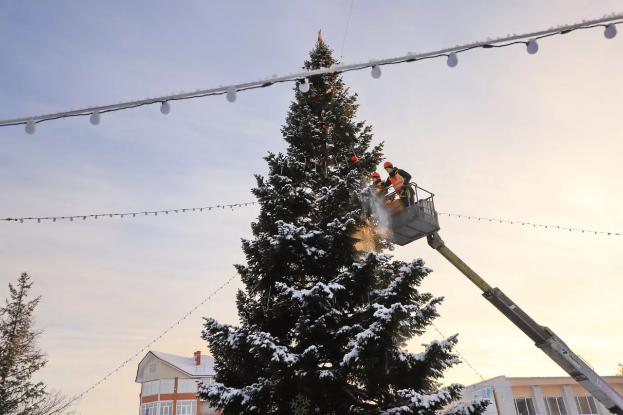 Ёлку возле Дворца культуры и спорта нарядили в Бийске Ёлку возле Дворца культуры и спорта нарядили в Бийске