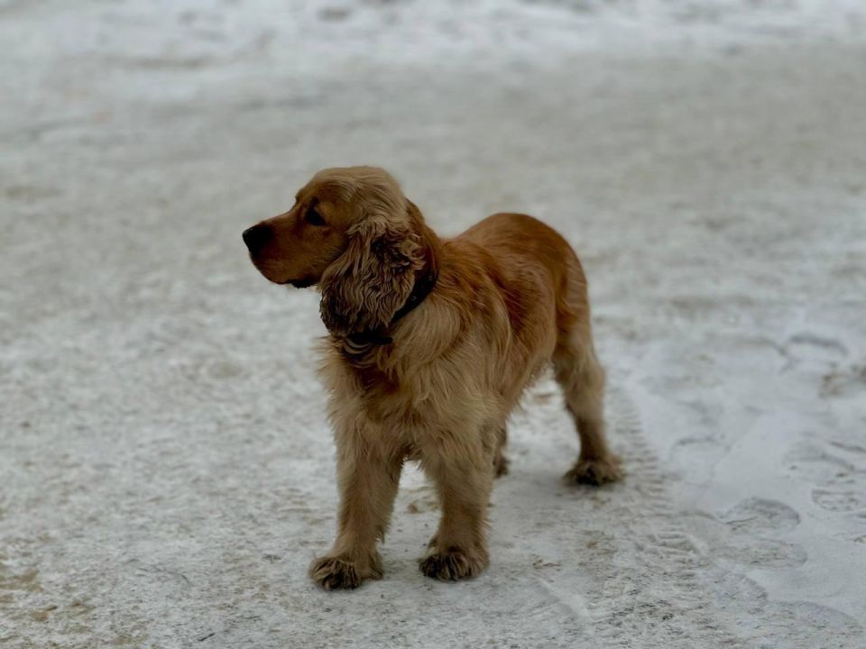 �������� ������� �� �����: ����������� � ���������� �����