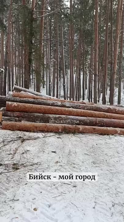 � ���� �� �� ���������� ������