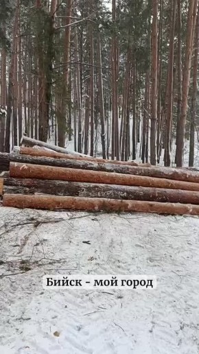 � ���� �� �� ���������� ������