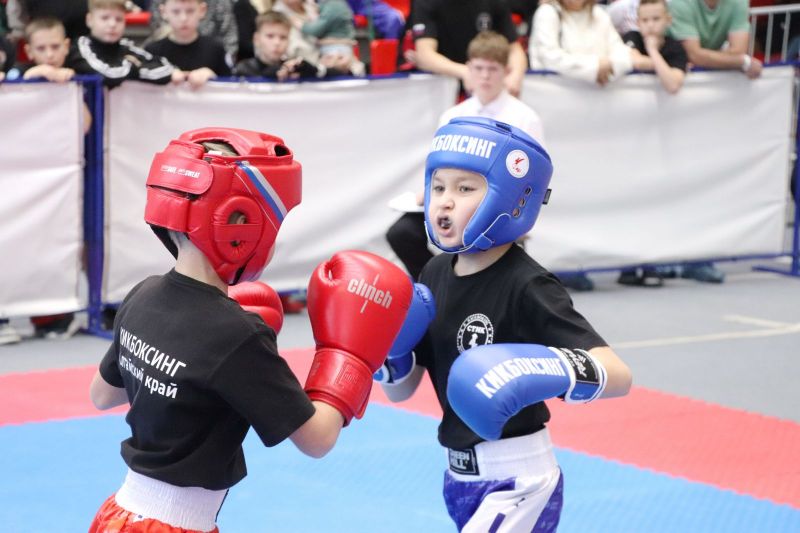 В Барнауле подведены итоги чемпионата и первенства Алтайского края по кикбоксингу памяти Николая Чернова В Барнауле подведены итоги чемпионата и первенства Алтайского края по кикбоксингу памяти Николая Чернова